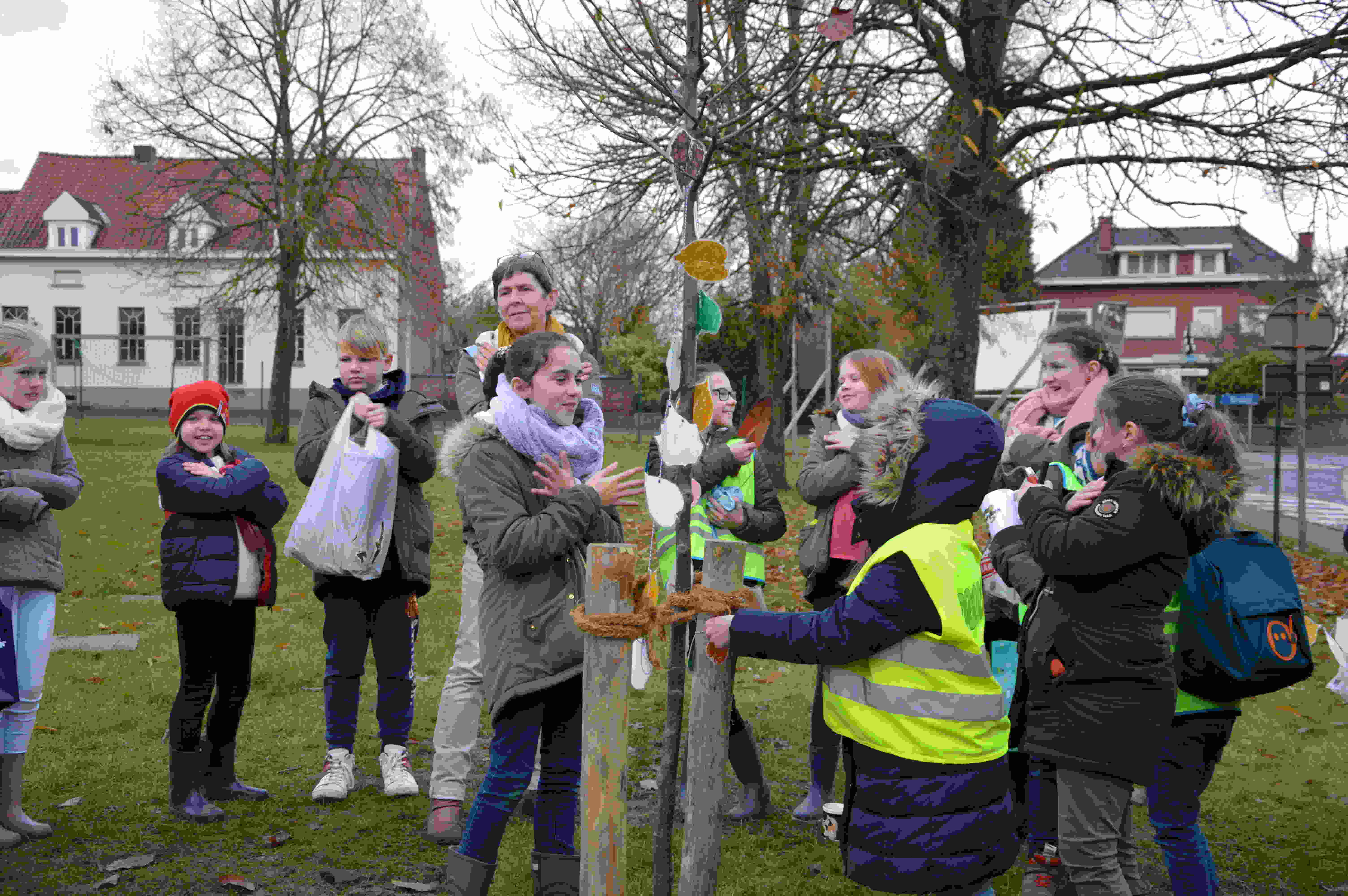 4slinger in de boom_boomplantDSC_0060_kl